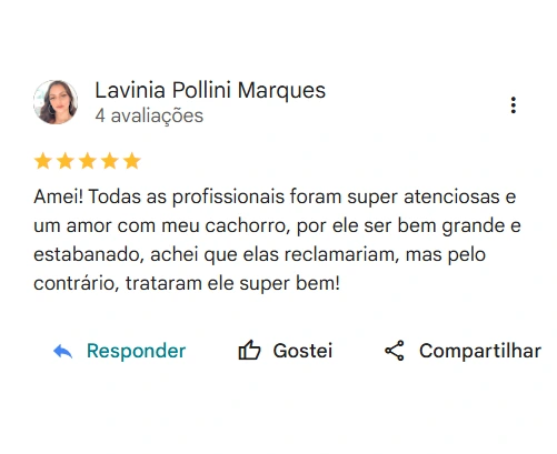 Avaliação 5 estrelas Hotel Pet Yayá
