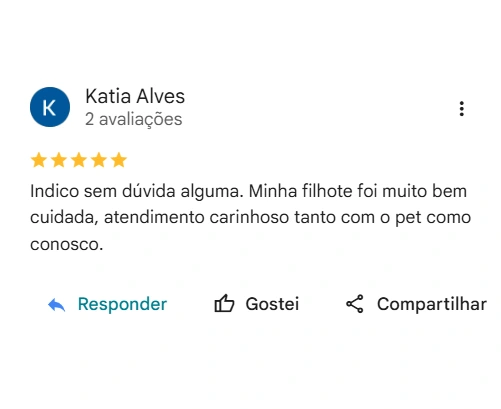 Avaliação 5 estrelas Hotel Pet Yayá