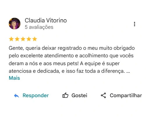 Avaliação 5 estrelas Hotel Pet Yayá